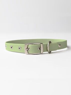 Diggs Dog Collar,Light Green - Small